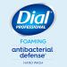 Buy Dial Complete Spring Water Antibacterial Foaming Hand Wash Refill - 1 Gallon | International Shipping Available - Buy Online on GoSupps.com