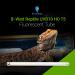 2 Pack 8W-Watt T5 HO Reptile Light Desert UVA UVB 10.0 Fluorescent Tube - 12" Terrarium Hood Light Suitable for Desert Reptile Lizards Bearded Dragons & Promotes Natural Behavior UVB Bulb 8W - 12 Inch UVB 10.0 - Buy Online on GoSupps.com
