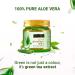 INDUS VALLEY 100% Pure Aloe Vera Gel - 175ml (5.92 Fl Oz) - Natural Skin & Hair Care - International Shipping Available - Buy Online on GoSupps.com