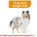 Royal Canin Coat Care Loaf | 12 x 85 g | Complete Food for Adult Dogs of All Breeds | May Help Support Healthy Skin and Coat - Buy Online on GoSupps.com