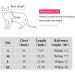 Coppthinktu X-Large Cat Recovery Suit for Abdominal Wounds | Breathable Surgical Recovery Suit for Cats - Anti Licking & E-Collar Alternative - Buy Online on GoSupps.com