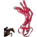 Adjustable Horse Halter | Heavy Duty Chin and Throat Snap Halter Horse - Comfortable Padded Nylon Horse Halter for Training Equestrian Grooming Red - Buy Online on GoSupps.com