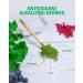 EHPlabs OxyGreens Super Greens Powder - Pineapple Flavor, 30 Serves - Immunity Booster with Spirulina, Prebiotic Fibre & Antioxidants - Buy Online on GoSupps.com