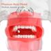 Dental Model Simulator - Bfeiwgha Phantomkopf Training Head | International Shipping Available - Buy Online on GoSupps.com