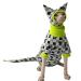 UOSIA Sphynx Hairless Cat High Elasticity Kitten Shirts with Hat&Tail Cover Warm Cat Clothes Cute Cat Pullover Jumpsuit for Cornish Rex Devon Rex Peterbald Hat Coat Tail Cover XL