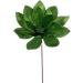 Vickerman 705308-22" Black Velvet Sheen Glitter Trim Poinsettia Spray (4 Pack) (RG223317) - Buy Online on GoSupps.com