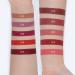 10Pcs Velvet Matte Liquid Lipstick Set - Waterproof & Long Lasting Non-Stick Cup - Professional Lip Makeup Gift Kit for Women - Buy Online on GoSupps.com