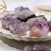 Home Natural Amethyst Cluster Irregualr Specimens Reiki Lavender Purple Crystal Cluster Raw Ore Decor (Color : Amethyst Cluster Size : 3-4cm) 3-4cm Amethyst Cluster - Buy Online on GoSupps.com