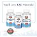 KAL Enhanced Energy Multivitamin | Whole Food Based | 180 Capsules - Buy Online on GoSupps.com
