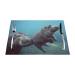 Baby Hippos PVC Woven Placemats are Slip and Water Resistant and Resistant to High Temperatures. Baby Hippos 1