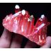 ComAce natural luster 180gpretty RED Flame Quartz Point - Buy Online on GoSupps.com