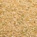 Wholefood Earth Organic Long Grain Brown Rice 3kg - GMO Free, Vegan, Source of Fibre - Certified Organic - Buy Online on GoSupps.com