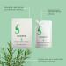 Rosemary Amino Acid Moisturizing Shampoo Gentle moisturizing and strengthening formula Moisturizing and sebumregulating care suitable for both men and women 2Pieces - Buy Online on GoSupps.com