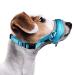 Nasjac dogs muzzle soft muzzle medium dogs to bite to prevent anti-barks. Stop chewing food adjustable dog and long-lasting small large dog cranes