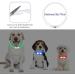 Coolzon LED Light Neck Band Collar - Waterproof 3-Color Adjustable for Cats & Dogs - Super Bright & Multi-Colored - Buy Online on GoSupps.com