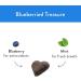 Shameless Pets Blueberried Treasure Soft Baked Dog Treat Blueberry/Mint - 170 g Soft-Baked - Buy Online on GoSupps.com