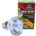 Terra Exotica Neo Spot - UV Reflector Spotlight for Terrariums (25W) | Ideal Heat & Light Source for Inhabitants - Ships Internationally - Buy Online on GoSupps.com