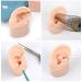Simulation Silicone Ears Model for Piercing Practice - Realistic Fake Body Parts Display for Medical Training & Jewelry Teaching Tool - Buy Online on GoSupps.com