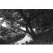 Hoya 82mm R72 Infrared Glass Filter for Superior Photography Results - Buy Online on GoSupps.com