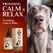 Charlie Buddy Hemp Oil for Dogs & Cats - Hip & Joint Support, Skin Health, Anxiety Relief, Pain Management - Omega 3, 6, 9 with Vitamins B, C, E - Buy Online on GoSupps.com