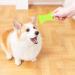 Fofuyim 2Pcs Tick Remover Tick Remover with magnifier Tick Remover Card Tick Remover Tools for Dogs - Buy Online on GoSupps.com