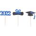 3 Pack Graduation Cupcake Insert 2022 Book Roll Doctor Hat Shape Black Blue Graduation Cake Insert Graduation Cupcake Topper for Celebrate Success Graduation - Buy Online on GoSupps.com