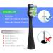 Replacement Toothbrush Heads for Aquasonic Duo Electric Toothbrush - 4 White & 4 Black | International Shipping Available - Buy Online on GoSupps.com