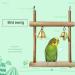 CAMITER 8 Packs Bird Toys Parrots Cage Toys Natural Wood Hanging Swing Shredding Chewing Perches Parrot Toy Parrot Bite Toy for Budgie Parakeet Cockatiel Macaw - Buy Online on GoSupps.com