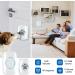 Wireless Dog Doorbell - Waterproof Litter Bells with 300m Range 60 Ringtones & Adjustable Volume - Intelligent LED Flash - 2 Transmitters + 1 Receiver - Buy Online on GoSupps.com