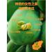 Papaya konjac yam powder Chinese snacks nutritious cereals breakfast healthy vegetable soup ready to eat konjak Congee 500g/can instant nutritious meal substitute powder side dish (1 can) - Buy Online on GoSupps.com