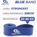 Coresteady Pull Up Resistance Bands - Heavy Duty Rubber Loop Band for Men & Women - Build Muscle & Power - Fitness Training Aid for Pull Ups & Gym Exercise - Blue - Buy Online on GoSupps.com