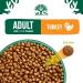 James Wellbeloved Adult Turkey 1.5 kg Bag Hypoallergenic Dry Cat Food Turkey 1.5 kg (Pack of 1) - Buy Online on GoSupps.com
