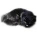 GeKLok Lifelike Simulation Sleeping Cat Toy - Realistic Soft Plush Black Cat Photography Prop - Buy Online on GoSupps.com
