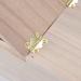 Wooden Parrot Breeding Box for Birds - Budgie, Cockatiel, Parakeet, Lovebirds, Conure, Cockatoo - Nesting Box for Cage - 7.8x4.7x4.7 inch - Buy Online on GoSupps.com