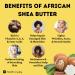 Buy Raw Ivory African Shea Butter 100% Organic Unrefined - 10lb | Premium Quality Fast International Shipping - Buy Online on GoSupps.com