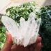 350g-900g Natural Clear Quartz Stone White Crystal Cluster 1pc HOMEZHOU (Color : 1pc 510g-560g) - Buy Online on GoSupps.com
