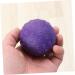 Frcolor Balance Ball 2-Pack - Yoga Back Massage & Fitness Exercise Balls for Home & Gym - Violet Gynatics Hand Balance Ball - Buy Online on GoSupps.com