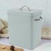 Fockety Laundry Pods Container 7.9 X 6.3 X 4.6In Stainless Steel Laundry Room Container Laundry Powder Container with Spoon Metal Detergent Pods Container for Laundry Room Light Green - Buy Online on GoSupps.com