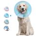 Supet collar for pets protective collar tapes made of plastic Special protection for cats Small dogs (blue S) S (Neck: 11.5-12.7 ") Blue