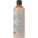  sarcia.eu ITINERA Cosmetic Kit Conditioner for Oily Hair 2 x 370 ml - Buy Online on GoSupps.com