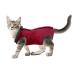 Cobee Professional recovery suit for cats in abdominal wounds or skin diseases kittens surgery recovery suit e-neck band alternative for cats and dogs after operations (size S red)