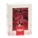 Dekora - Edible Wafer Cake Topper for Birthday Cake - 8.5 - 7.5 cm - 7.5 cm