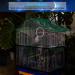 GOTOTOP Large Nylon Bird Cage Cover Shell Seed Catcher - 4 Colors, Stretchy Skirt, Parrot Mesh Net, Seeds Guard for Pet Products - Buy Online on GoSupps.com