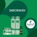 Haskell Jaborandi Collection Carqueja and Vitamin A Hydration Mask 250g (8.81 oz) - Buy Online on GoSupps.com