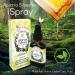 Immune booster/ Immune System Support/ Sore Throat/ Great for Cold & Flu Symptoms - Official Distributor - 5 bottles of Apiario Silvestre Brazilian Green Bee Propolis Spray Glycolic Extract-Non Alcoholic Wax Free Sugar Free - Buy Online on GoSupps.com