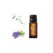 Ippinka Lavender Pure Essential Oil with Eucalyptus Globulus Spike Lavender Niaouli - 10ml