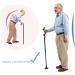 Elderly folding walking cane walking crutches for walking for The old man helps walk to climb hikes rods of bo - Buy Online on GoSupps.com