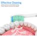 Senyum Replacement Toothbrush Heads for Philips Sonicare - E-Series Compatible - 6 Pack (Pack of 1) - Buy Online on GoSupps.com