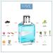 Sapil Rave Perfume for Men - Long-Lasting Dubai Perfume - Fresh Spicy Aromatic EDT - 3.4 Oz (100 ml) - Ideal Arabic Cologne for Daily Wear - Buy Online on GoSupps.com