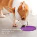Buy Vivifying Frisbee Dog - 2 Pack 18 cm Natural Rubber Frisbees for Land & Water | Green & Purple - International Shipping Available - Buy Online on GoSupps.com